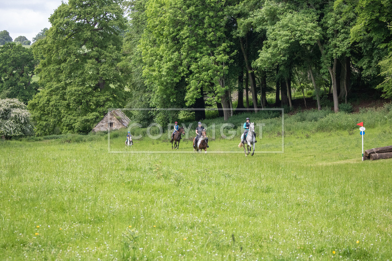 Cotswold Farm Park June 12th 2021